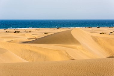 Çöl kumulları Gran Canaria, İspanya ile