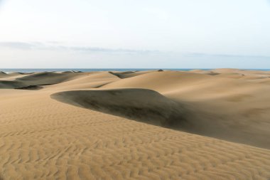 Çöl - kum tepeleri ile güzel manzara