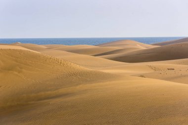 Çöl kumulları Gran Canaria, İspanya ile