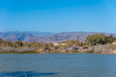 Kum tepeleri Gran Canaria - İspanya, gölde
