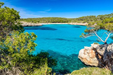 Güzel plaj, Cala S'Amarador Mondrago - Tabiat Parkı üzerinde Majorca İspanya, Balear Adaları, Akdeniz, Avrupa