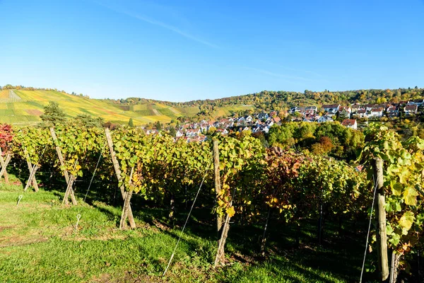 슈투트가르트 독일에서 Autum의 풍경에 Uhlbach에서 — 스톡 사진