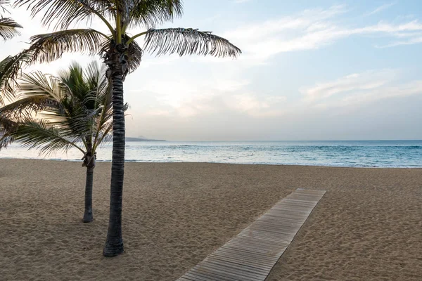 Playa Las Canteras Krásná Pláž Las Palmas Gran Canaria — Stock fotografie