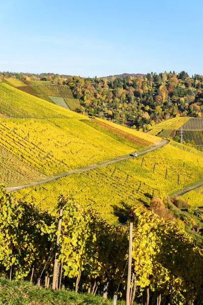 Vineyards at Stuttgart - beautiful wine region in the south of Germany