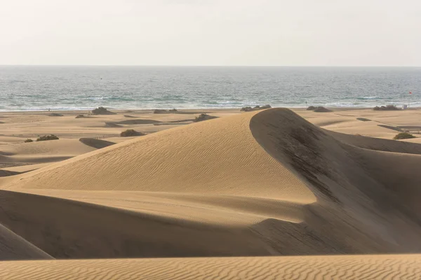 Пустелі Піщаних Дюн Гран Канарія Іспанія — стокове фото