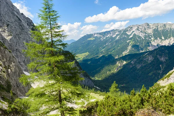 Ellmauer Durdurmak Avusturya Yakın Gruttenhuette Wilder Kaiser Dağlarının Alp Bir — Stok fotoğraf