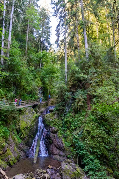 Gorge Wutach Avec Rivière Cascades Promenade Dans Beau Paysage Forêt — Photo