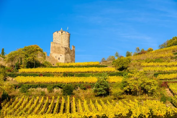 Ruiny Wieża Hotelu Chateau Kaysersberg Strażnica Village Alzacji Francja — Zdjęcie stockowe