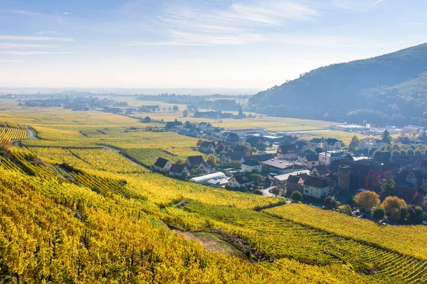 Chateau Kaysersberg Historisches Dorf Weinregion Weinberge Elsass Frankreich Europa — Stockfoto