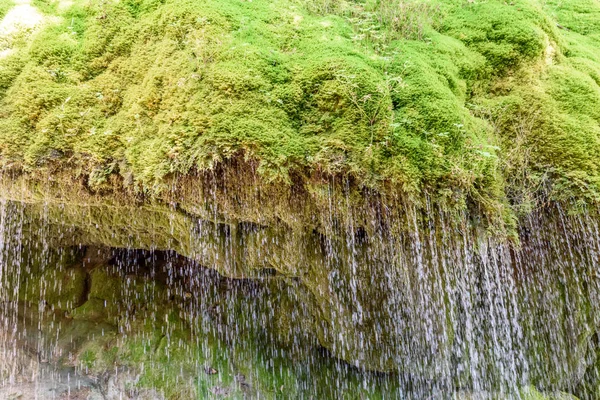 Wutach Gorge Com Rio Grama Moos Caminhando Bela Paisagem Floresta — Fotografia de Stock