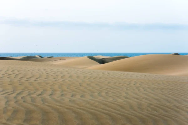 Deserto Con Dune Sabbia Gran Canaria Spagna — Foto Stock