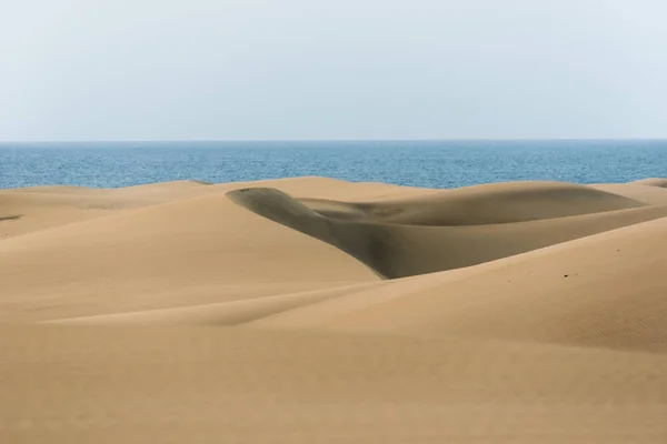 Pustyni Piaszczystymi Wydmami Gran Canaria Hiszpania — Zdjęcie stockowe