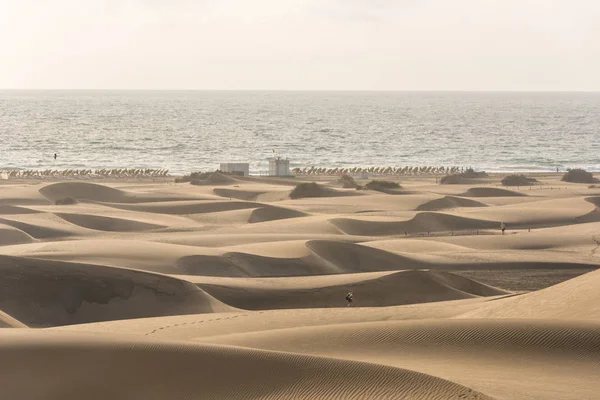 Deserto Con Dune Sabbia Gran Canaria Spagna — Foto Stock