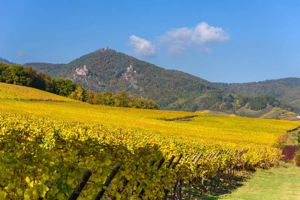 Hunawihr Kleines Dorf Den Elsässischen Weinbergen Frankreich — Stockfoto