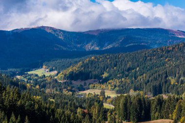 Blackforest Titisee Almanya'da yakın