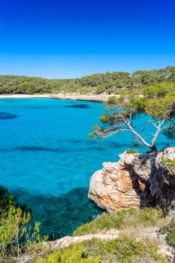 Güzel plaj, Cala S'Amarador Mondrago - Tabiat Parkı üzerinde Majorca İspanya, Balear Adaları, Akdeniz, Avrupa