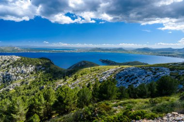 Güzel sahil Pollenca ve Alcudia, Mallorca - İspanya