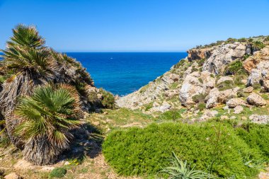 Cala Mesquida - güzel plaj Adası Majlorca, İspanya