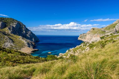 Cala figuera kap formentor - güzel sahil ve plaj, Mallorca, İspanya