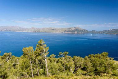 Güzel bir plaj ve sahil Mallorca, İspanya'nın de Pollenca - bağlantı noktası