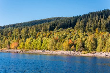 Blackforest gölde Schluchsee