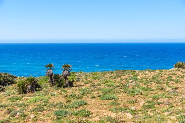 Cala Mesquida - güzel plaj Adası Majlorca, İspanya