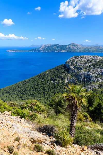 Krásné Pobřeží Pollença Alcúdia Mallorca Španělsko — Stock fotografie