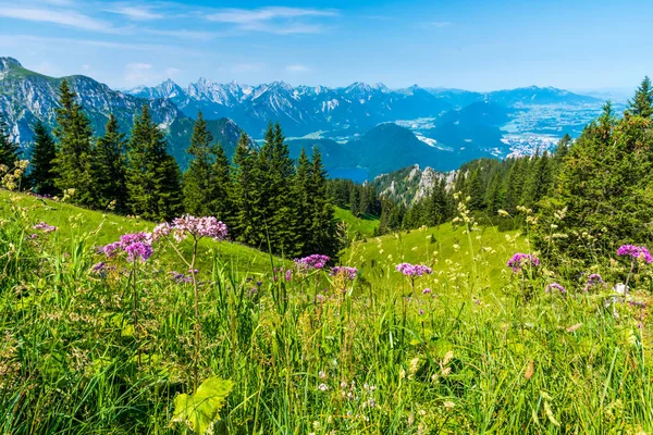 Schöne Landschaft Den Alpen Tegelberg — Stockfoto