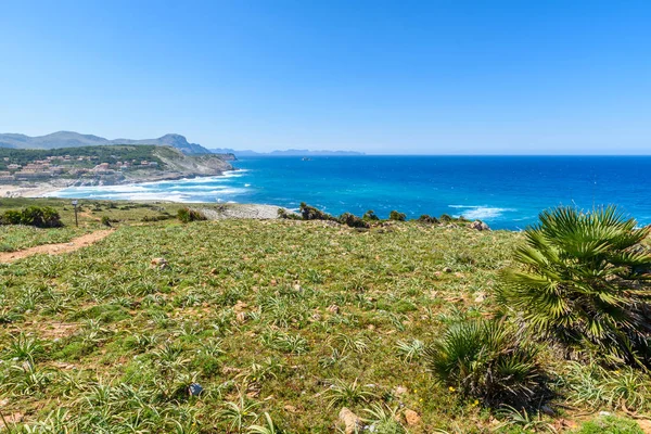 Cala Mesquida Krásná Pláž Ostrova Majlorca Španělsko — Stock fotografie