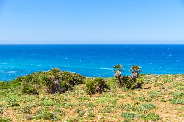 Cala Mesquida Bela Praia Ilha Mailorca Espanha — Fotografia de Stock