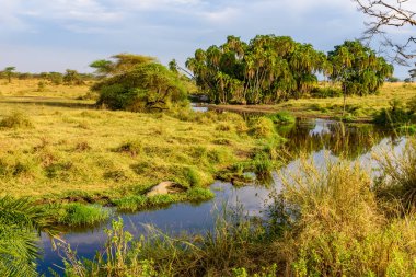 Nehir ve Göl, Serengeti Milli Parkı 'nın güzel manzarası, Tanzanya - Afrika Safari