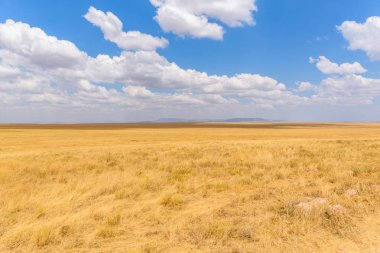 Safari arabasıyla Serengeti Ulusal Parkı 'nda güzel manzara, Tanzanya, Afrika