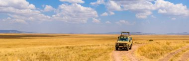 Safari turistleri Serengeti Ulusal Parkı 'nda güzel manzara, Tanzanya, Afrika' da Jeep arabalarıyla gezintiye çıktılar.