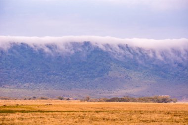 Magadi Gölü 'ndeki Ngorongoro Krateri Ulusal Parkı' nın panoraması. Afrika Savannah 'da Safari Turları. Tanzanya, Afrika 'daki güzel manzara