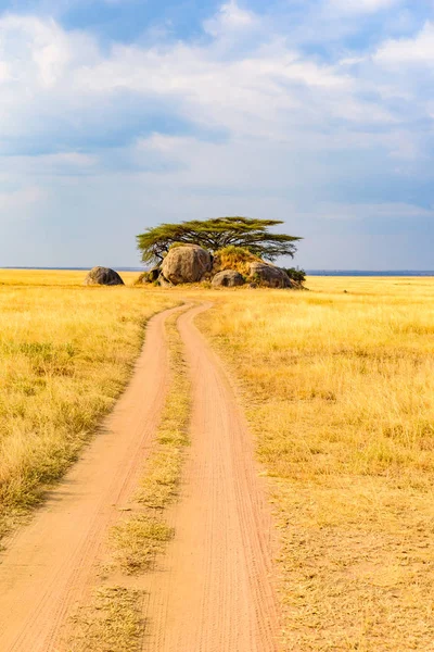 Serengeti Ulusal Parkı Nda Safari Arabasıyla Toprak Yolda Güzel Manzara — Stok fotoğraf