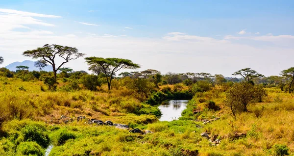 Río Lago Hermosos Paisajes Del Parque Nacional Del Serengeti Tanzania — Foto de Stock