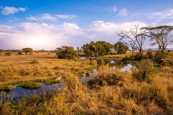 Nehir ve Göl, Serengeti Milli Parkı 'nın güzel manzarası, Tanzanya - Afrika Safari