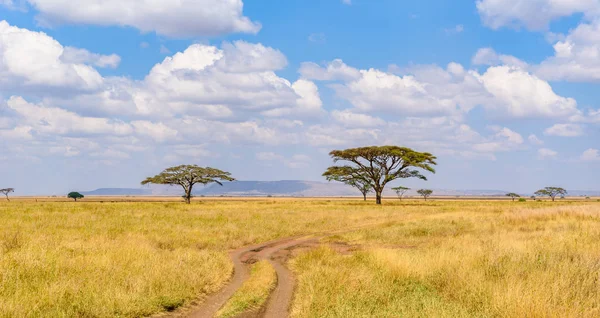 Serengeti Ulusal Parkı Nda Safari Arabasıyla Toprak Yolda Güzel Manzara — Stok fotoğraf