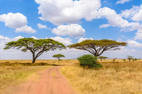 Game Drive Estrada Terra Com Carro Safari Parque Nacional Serengeti — Fotografia de Stock