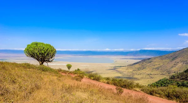 Панорама Кратера Нгоронгоро Национальный Парк Озером Магади Сафари Саванне Африке — стоковое фото