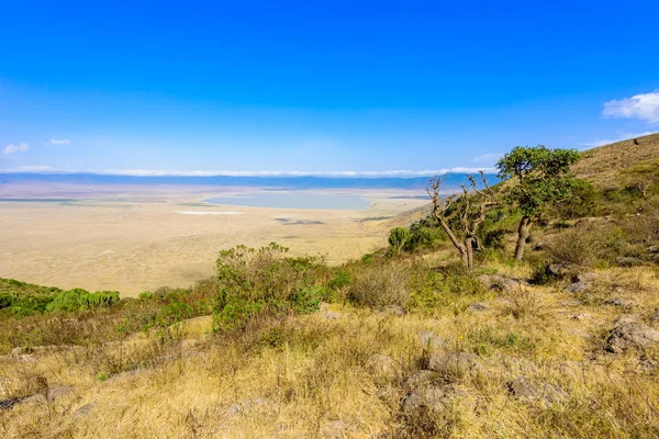 Panorama Krateru Ngorongoro Park Narodowy Jeziorem Magadi Safari Tours Savannah — Zdjęcie stockowe
