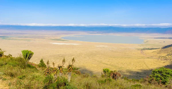 Panorama Parc National Cratère Ngorongoro Avec Lac Magadi Safari Tours — Photo
