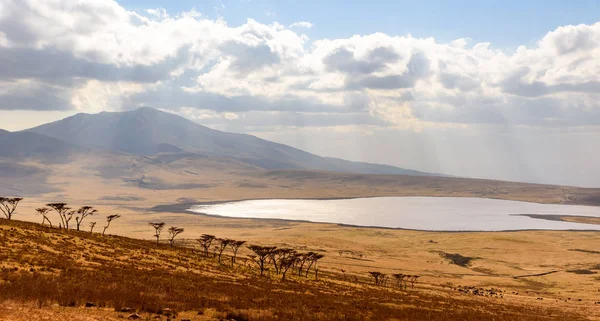 Jazda Samochodem Safari Parku Narodowym Serengeti Pięknej Scenerii Krajobrazowej Tanzania — Zdjęcie stockowe