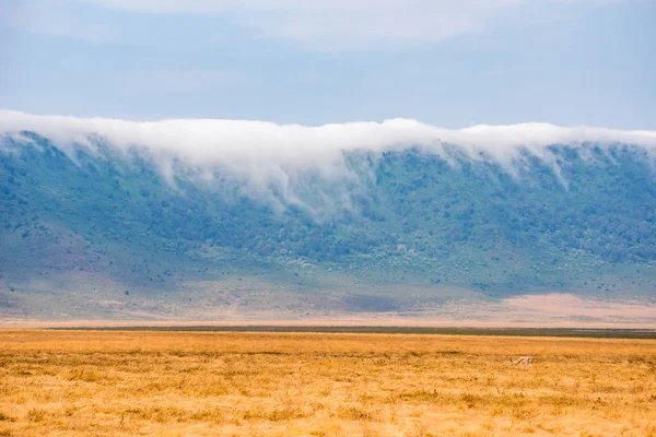 Panorama Van Ngorongoro Krater National Park Met Het Meer Magadi — Stockfoto