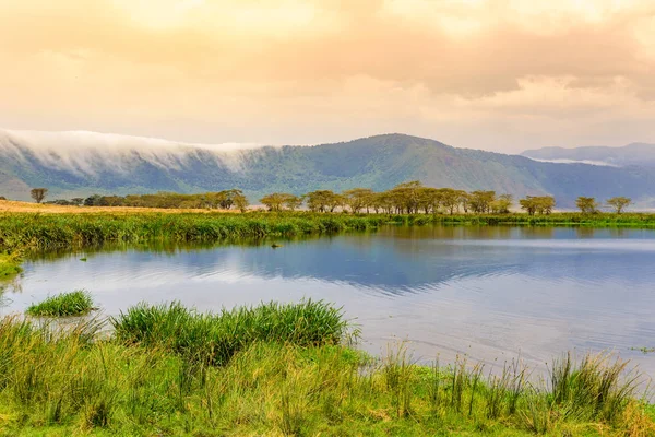Magadi Gölü 'ndeki Ngorongoro Krateri Ulusal Parkı' nın panoraması. Afrika Savannah 'da Safari Turları. Tanzanya, Afrika 'daki güzel manzara