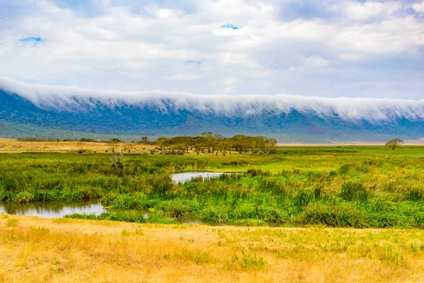 Panorama Krateru Ngorongoro Park Narodowy Jeziorem Magadi Safari Tours Savannah — Zdjęcie stockowe
