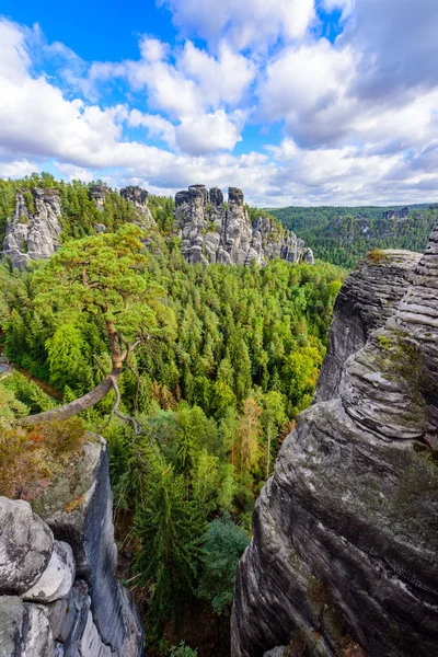 Bastei Felsen Der Sächsischen Schweiz Wunderschöne Landschaft Rund Die Burgruine — Stockfoto