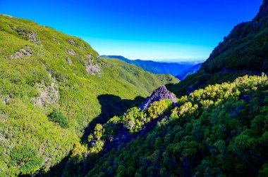 Laurel Ormanı 'nda 25 Fonte ile yürüyüş yapmak - Portekiz' in Madeira Adası 'ndaki ünlü 25 Fountains' in yolu -