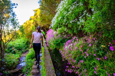 Laurel Ormanı 'nda 25 Fonte ile yürüyüş yapmak - Portekiz' in Madeira Adası 'ndaki ünlü 25 Fountains' in yolu -