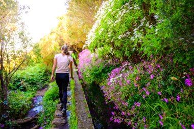 Laurel Ormanı 'nda 25 Fonte ile yürüyüş yapmak - Portekiz' in Madeira Adası 'ndaki ünlü 25 Fountains' in yolu -